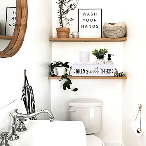 Bathroom with decorative shelves and plants above toilet.