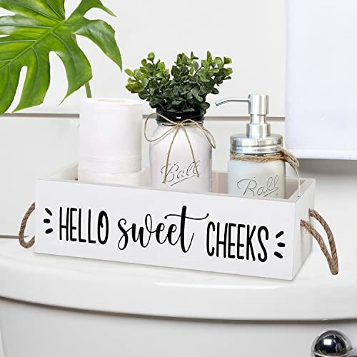 Bathroom tray with plant, soap dispenser, and toilet paper on a toilet tank.