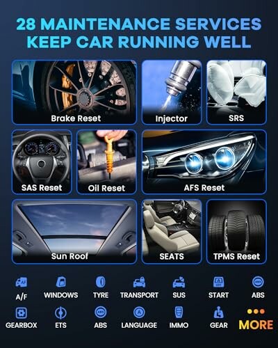 Overview of 28 car maintenance services including brake reset, injector, SRS, SAS reset, oil reset, AFS reset, sunroof, seats, and TPMS reset.