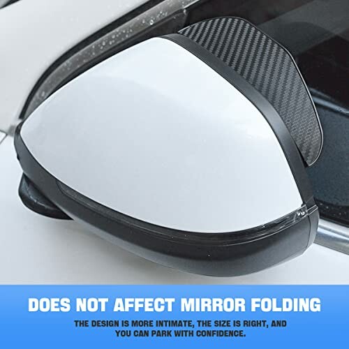 Car side mirror with rain guard installed.