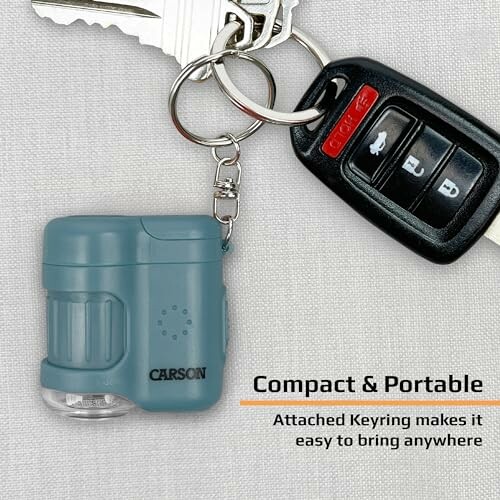 Compact keyring with attached gadget and car keys.
