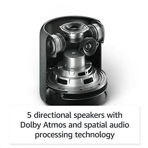 Interior view of a speaker with Dolby Atmos technology.