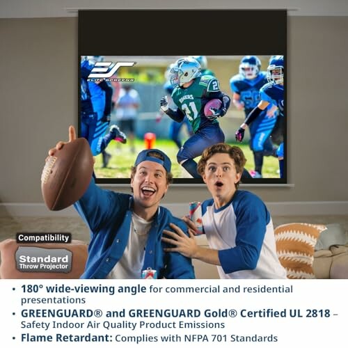 Two excited men watching football on a home theater projector screen.