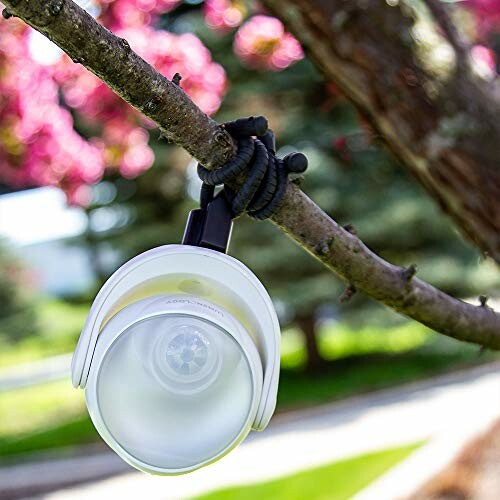 Motion sensor light attached to a tree branch outdoors.