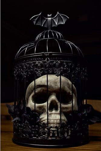 Skull inside decorative birdcage with bat on top