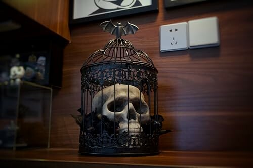 Decorative skull inside a bat-topped cage on a shelf.