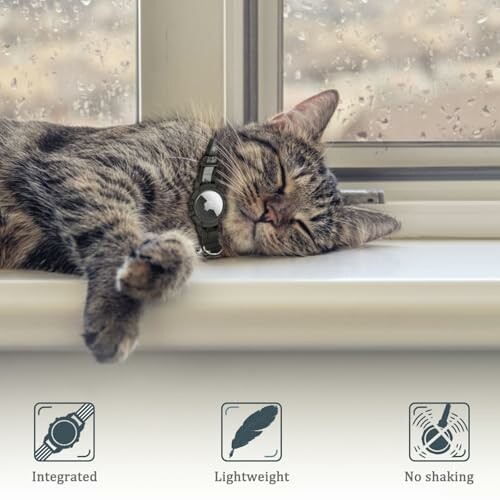 Cat sleeping on a windowsill with a collar, showing integrated, lightweight, no shaking features.