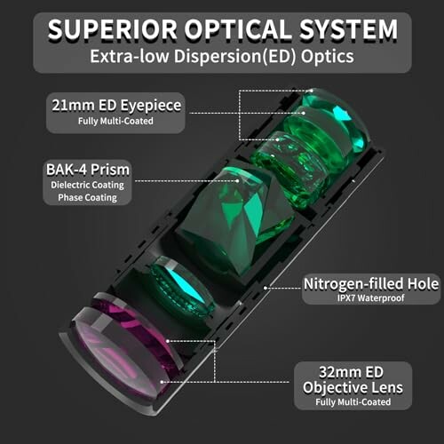 Diagram of a superior optical system with labeled components.